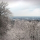 Blick in Richtung Süden (Senne, Sennestadt)