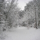 RUN4HAITI - Bielefeld im Winter (Alle Fotos: Lajos Speck, Klaus Rees, Detlef Kley)